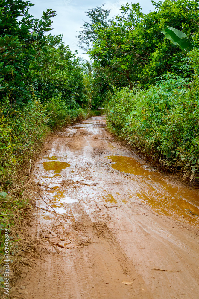Dirt mud road in jungle of Vietnam