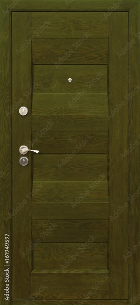 Entrance door (metal door, concept) Entrance door (metal door, concept)