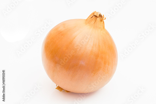 Wallpaper Mural oignon Torontodigital.ca