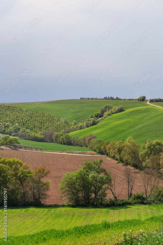 Green meadows and plowed fields, natural landscape