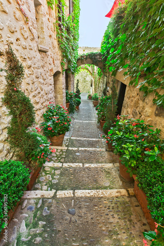 Alpine Provence, France.