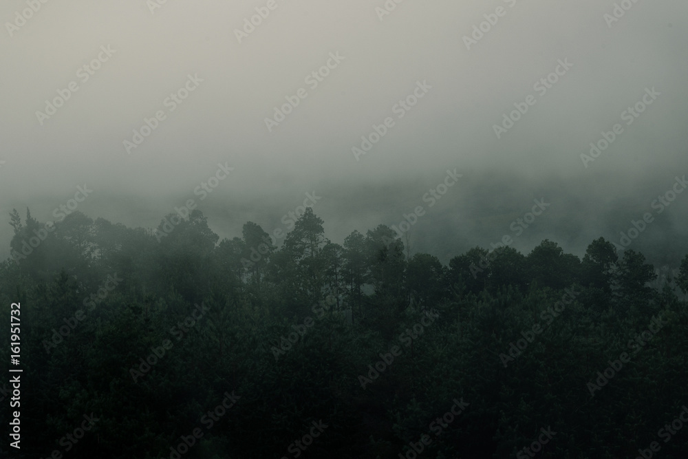 Samaipata Mountains and fog