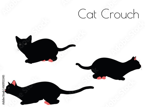cat silhouette in Crouch Pose