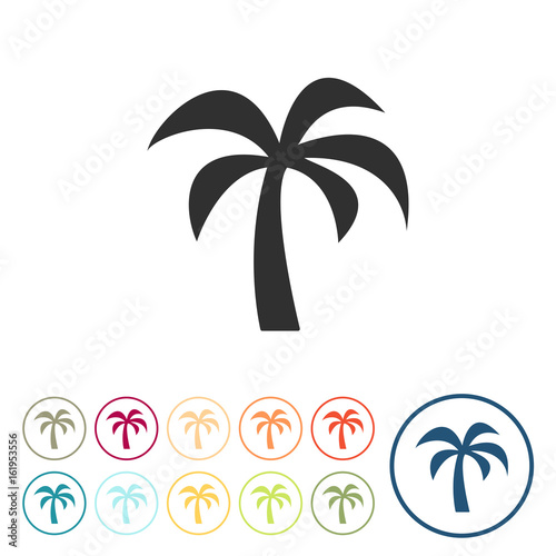Runde Schaltflächen - Palme - Urlaub