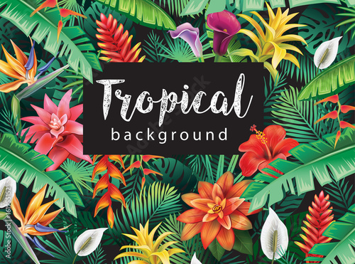 Background from tropical flowers