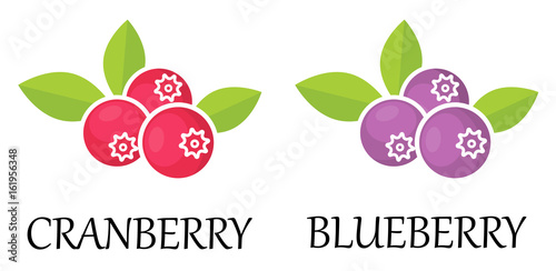 cranberry and blueberry with text