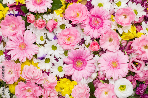 Bunter Blumen Hintergrund aus weissen, gelben und rosa Blüten photo
