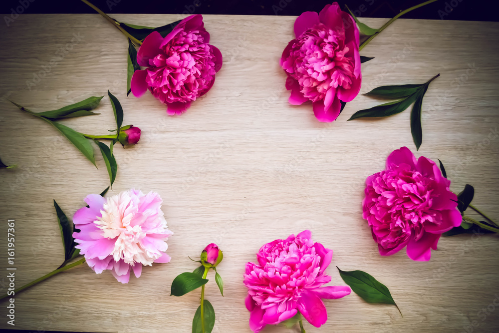 Violet and creamy peony on the background of wood Violet and creamy peony on the background of wood