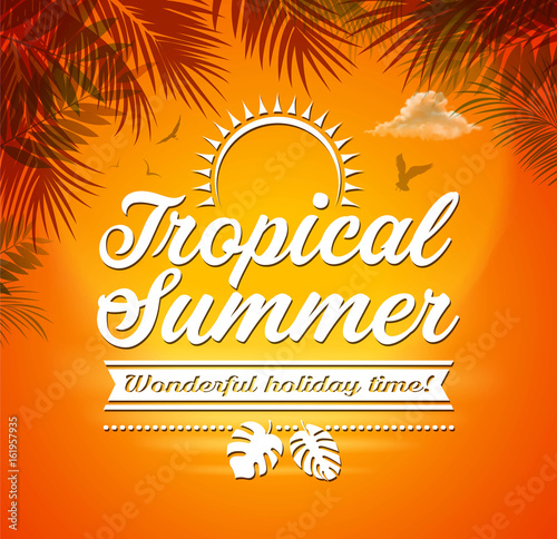 summer tropical