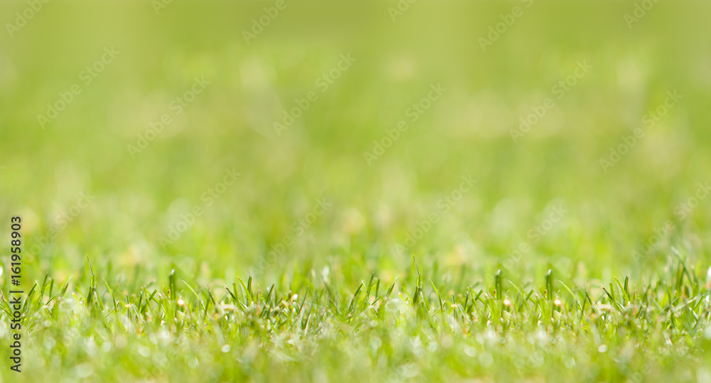 Gras: Seamless Pattern, nahtlos verlängerbar