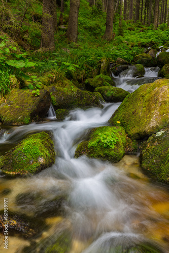 Pristine waterfalls in a mountain forest in summer  and lush green vegetation