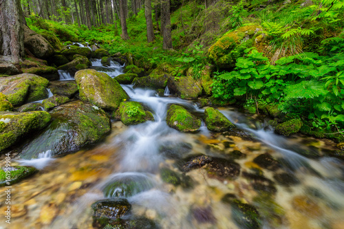 Fototapeta Naklejka Na Ścianę i Meble -  Pristine waterfalls in a mountain forest in summer, and lush green vegetation