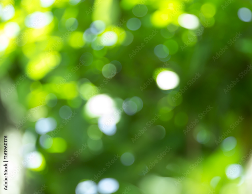 Bokeh background Bokeh background
