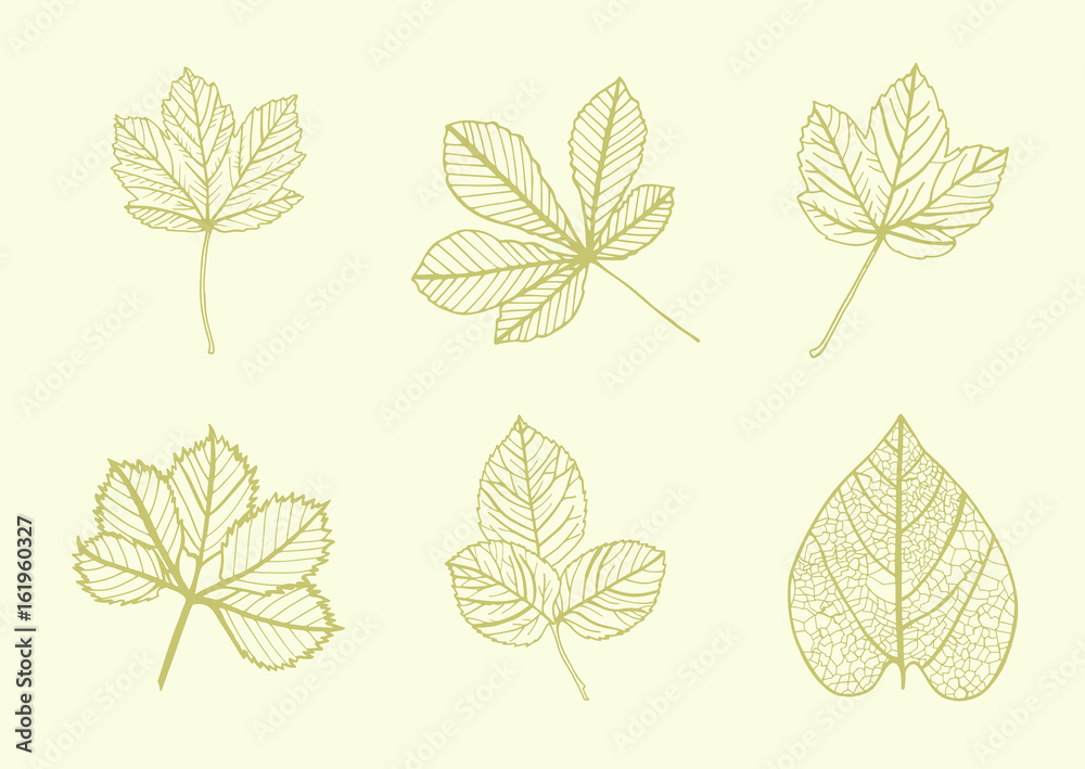 Vector icon of various leaves against yellow background
