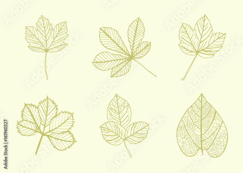 Vector icon of various leaves against yellow background