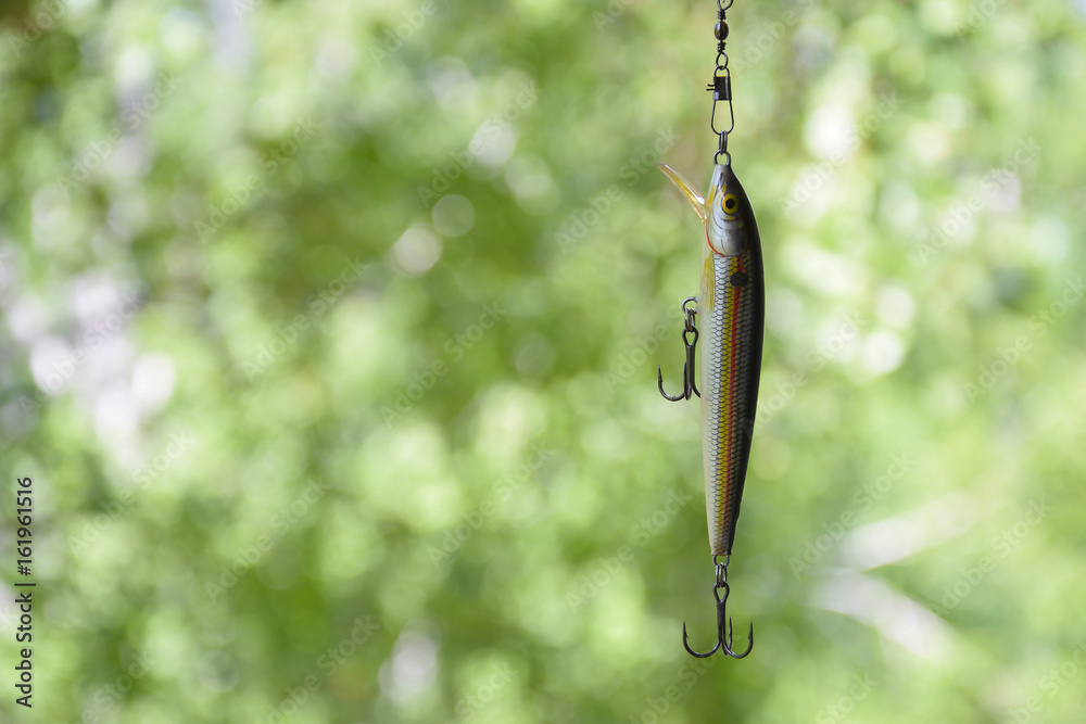 Bait number 1 for catching predatory fish in lakes and rivers. Bait number 1 for catching predatory fish in lakes and rivers.