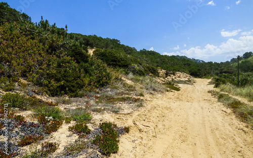 Hiking path near Praia do Magoito in Sintra, Portugal