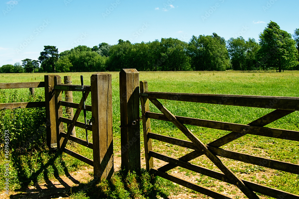 Countryside landscape. Gate