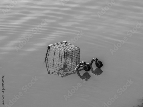 Shopping cart in a river photo