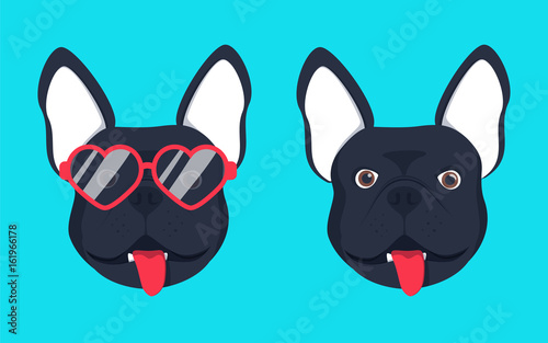 French bulldog dog head dog face illustration .Beautiful french bulldog puppy black fawn dog looks out the glasses. © Mykyta