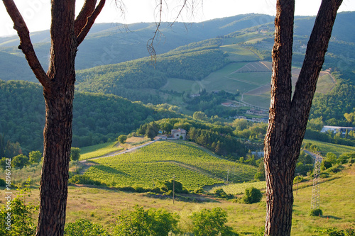 Blick auf die Landschaft des Chianti in Radda photo