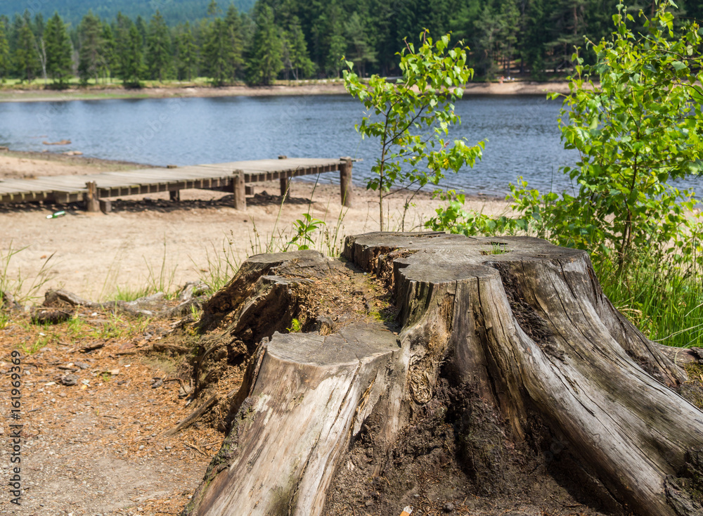 Fichtelsee im Fichtelgebirge