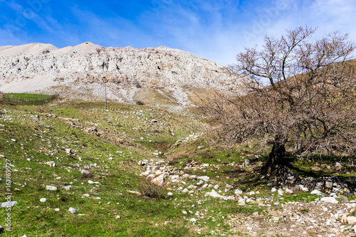 Stone rocks in the mountains in nature