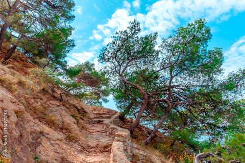 Close up of a path in the Estaque mountain range on "La Cote Bleue" by the Mediterranean sea, Provence, France