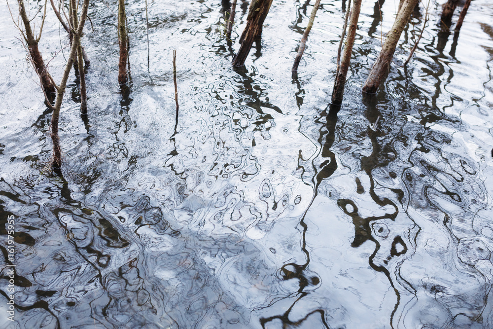 Obraz premium Wasser Struktur Close-Up