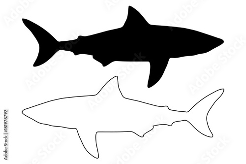 shark silhouette vector, silhouette fish,