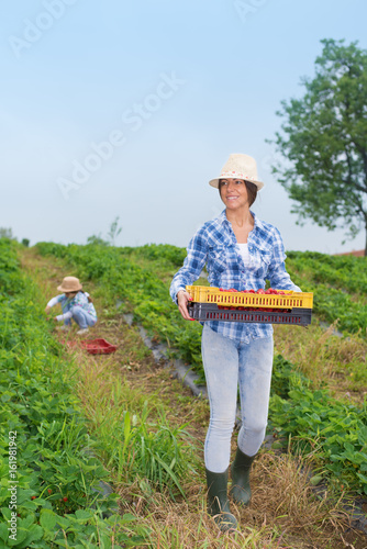 Mother and daughter in strawberry field