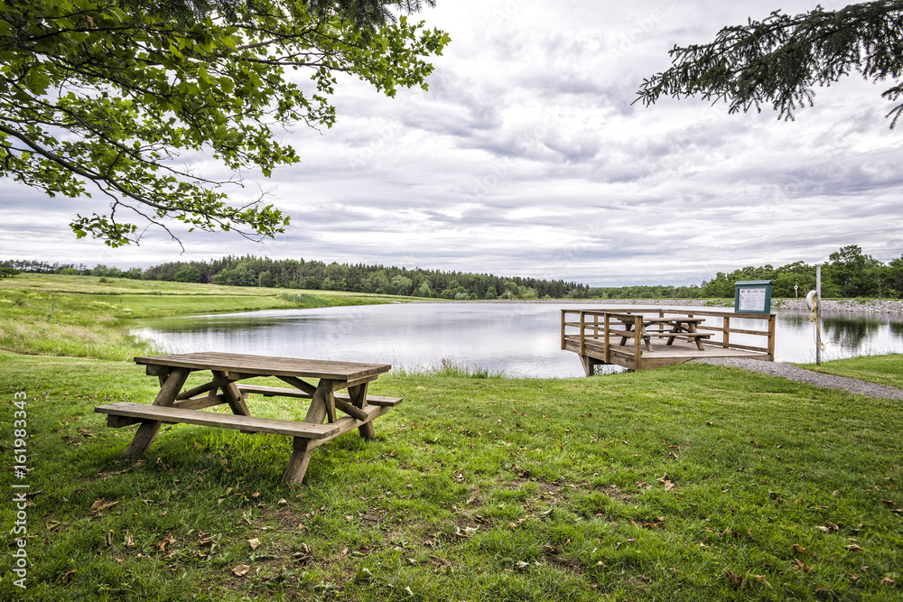 Picnic en el campo / Picnic in countryside Picnic en el campo / Picnic in countryside