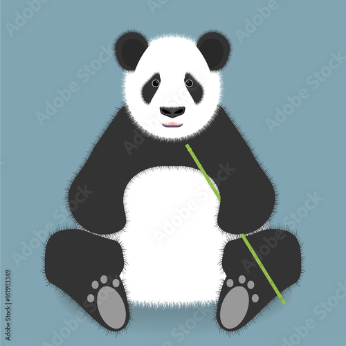 Sitting panda with bamboo stick isolated on color background. Vector illustration.