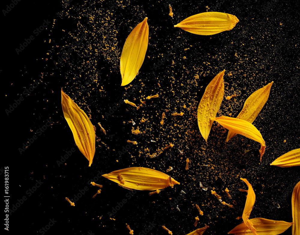 Fototapeta premium Sunflower petals with pollen isolated on black background