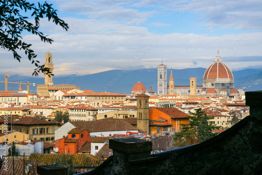 above view of Florence city from San Miniato