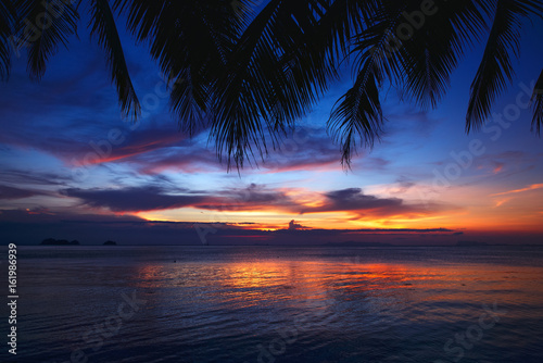 Fototapeta Naklejka Na Ścianę i Meble -  Tropical sunset beach with palm tree