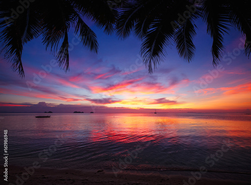 Fototapeta Naklejka Na Ścianę i Meble -  Tropical sunset beach with palm tree. Thailand, Samui island