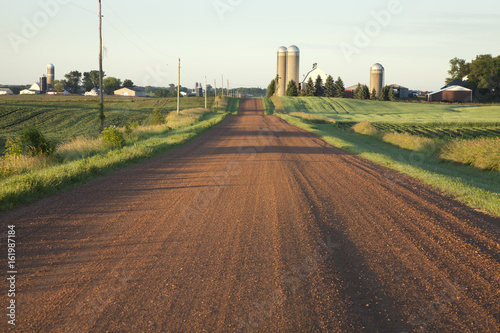 Rural Minnesota road with farms in morning light
