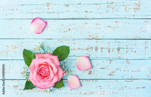 Fotografie Valentinstag Rose Rosa Liebe Grußkarte