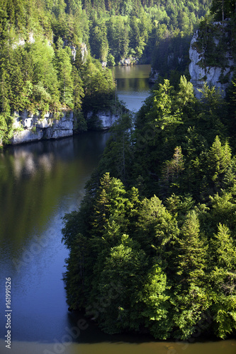 Forest landscape in Switzerland near Les Brenets village with the river Doubs