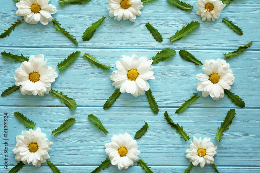 Obraz premium Composition with beautiful chamomile flowers on color wooden background