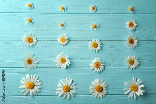Fototapeta Naklejka Na Ścianę i Meble -  Composition with beautiful chamomile flowers on color wooden background