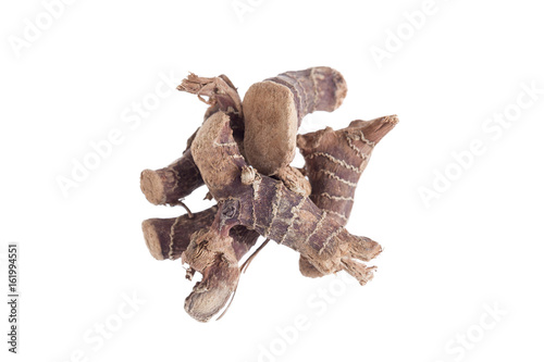 galanga known as aromatic ginger over white background