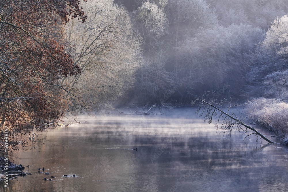 Fototapeta premium Frost an der Wupper