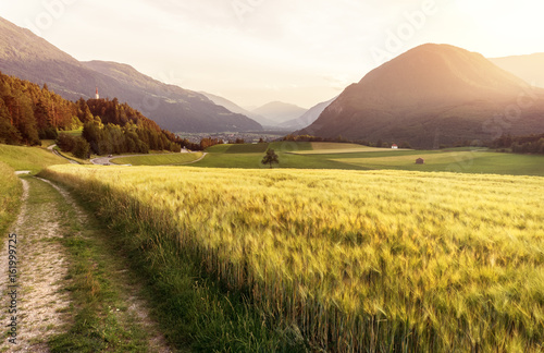 Sonnenuntergang in den Alpen mit Getreidefeld im Vordergrund 