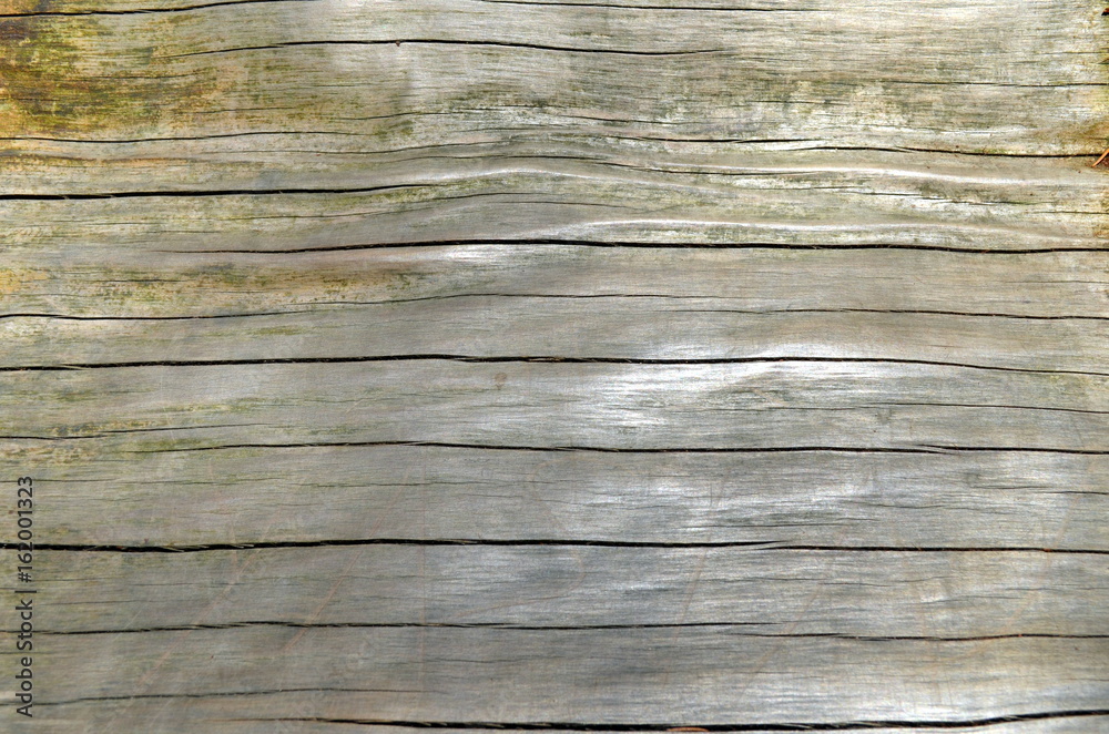 Fototapeta premium Holz-Hintergrund