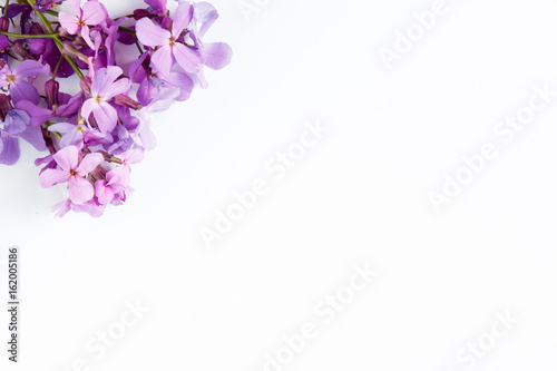 Purple flowers on white marble background with room for text © Elenglush