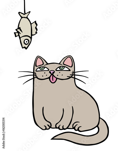 Cute grey cat sits and looks at the hanging dried fish. Vector illustration.