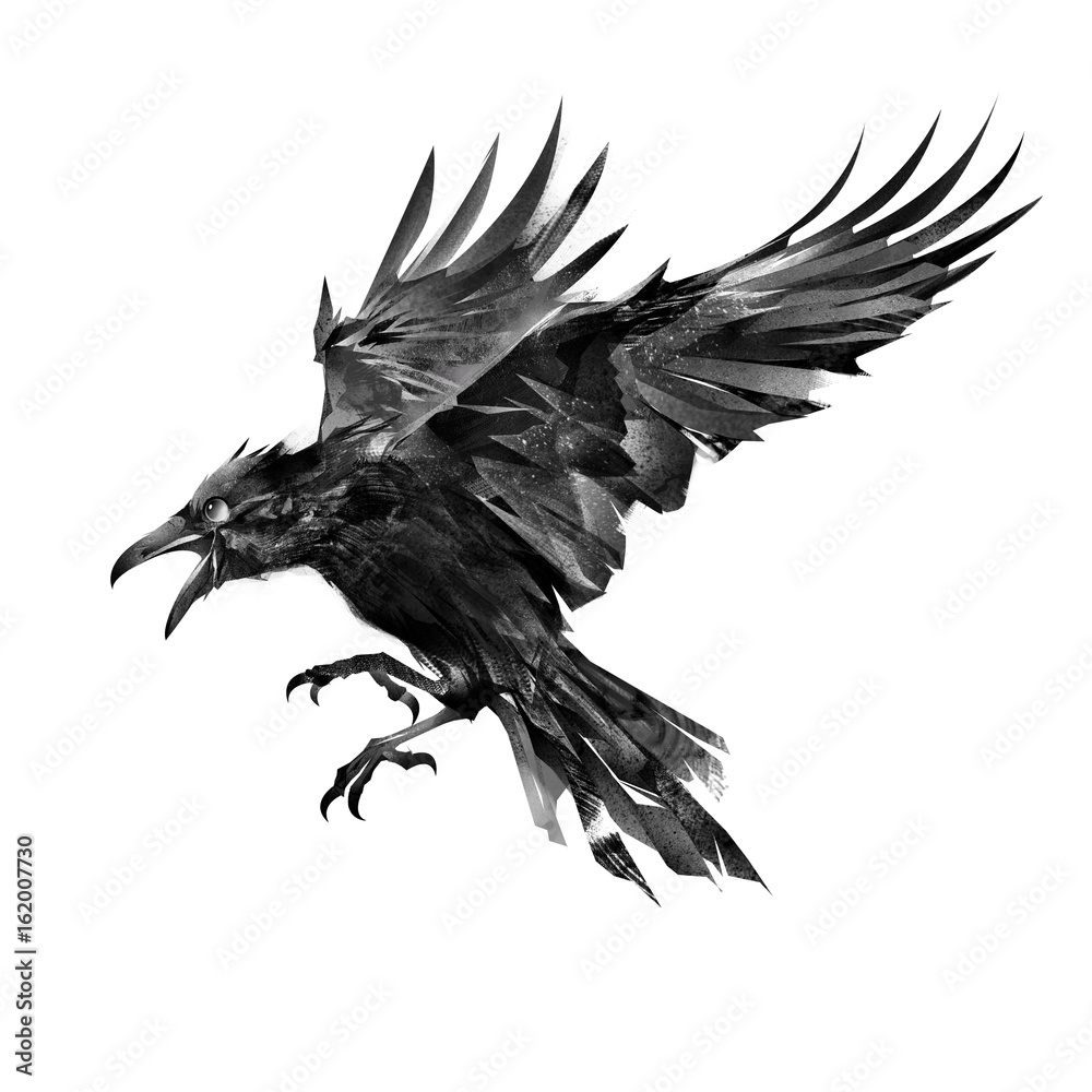 drawn flying bird on white background side view Stock Illustration