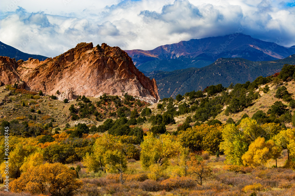 Fototapeta premium Autumn Aspen in Garden of the Gods